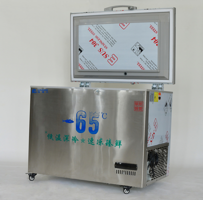 178L-1580L 큰 용량 깊은 수평 해산물 초저 가슴 수평 냉장고