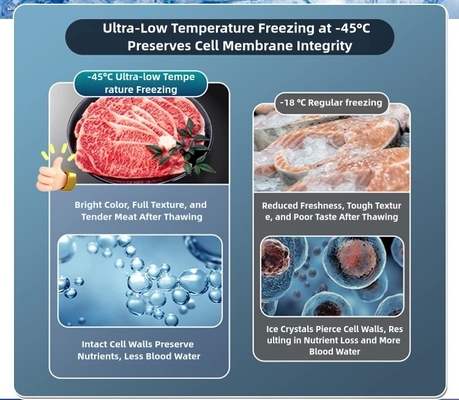 8.5~10cm 폼 레이어 초하층 상자 냉장고 대용량 -60°C 해산물 보관